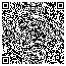 QR code with Public Storage contacts
