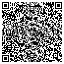 QR code with Public Storage contacts