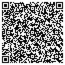 QR code with Public Storage contacts
