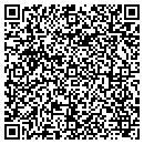 QR code with Public Storage contacts