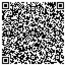 QR code with Public Storage contacts
