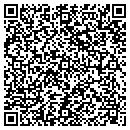 QR code with Public Storage contacts