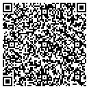 QR code with Public Storage contacts