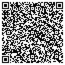 QR code with Public Storage contacts