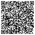 QR code with Andrew Nelson LLC contacts
