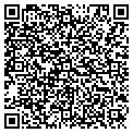 QR code with Nestor contacts