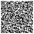 QR code with Public Storage contacts