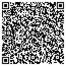 QR code with Public Storage contacts