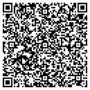 QR code with Public Storage contacts