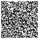 QR code with Public Storage contacts