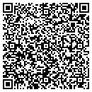 QR code with Public Storage contacts