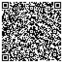 QR code with Public Storage contacts