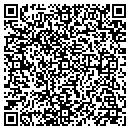 QR code with Public Storage contacts