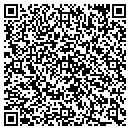 QR code with Public Storage contacts