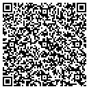 QR code with Public Storage contacts
