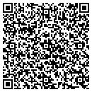 QR code with Public Storage contacts