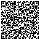 QR code with Public Storage contacts