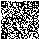 QR code with Public Storage contacts