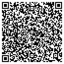 QR code with Public Storage contacts