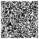QR code with Public Storage contacts