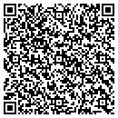 QR code with Public Storage contacts