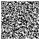 QR code with Public Storage contacts