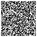 QR code with Public Storage contacts