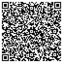 QR code with Public Storage contacts