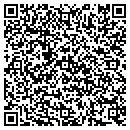 QR code with Public Storage contacts