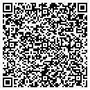 QR code with Public Storage contacts