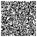 QR code with Public Storage contacts