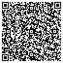 QR code with Precision Stone Craft contacts