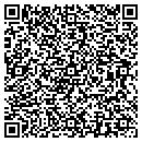 QR code with Cedar Valley Liners contacts