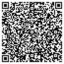 QR code with Cgis Mapping contacts