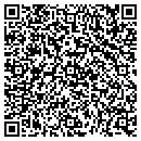 QR code with Public Storage contacts