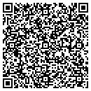 QR code with Public Storage contacts