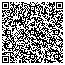 QR code with Public Storage contacts