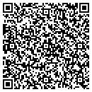 QR code with Public Storage contacts