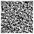QR code with Public Storage contacts