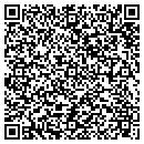 QR code with Public Storage contacts