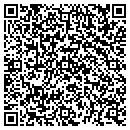 QR code with Public Storage contacts