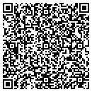 QR code with Public Storage contacts