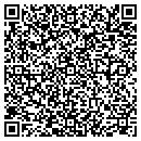 QR code with Public Storage contacts