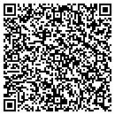 QR code with Public Storage contacts