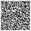 QR code with Public Storage contacts