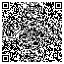 QR code with Public Storage contacts