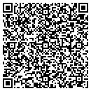 QR code with Public Storage contacts