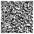 QR code with Public Storage contacts