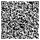 QR code with Public Storage contacts