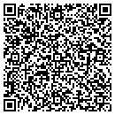 QR code with Carson Mini Storage contacts